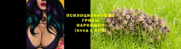 винт Кинешма