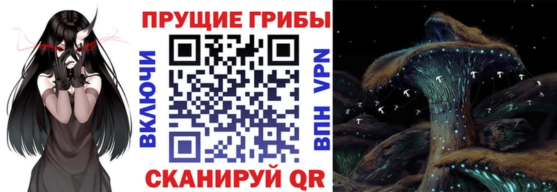 Купить закладки  Фокино  Псилоцибиновые грибы мухоморы 